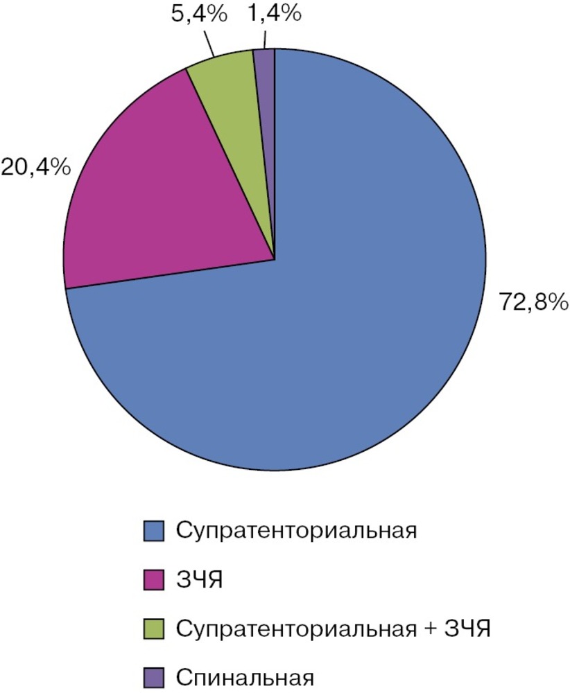 Рис. 1. Распределение наблюдений по локализации нейрохирургической патологии в группе больных с менингитами, %.