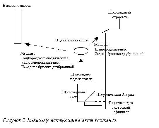 Рисунок 2